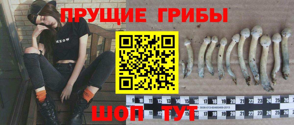 Псилоцибиновые грибы Psilocybine cubensis  Вход с VPN  Киров 
